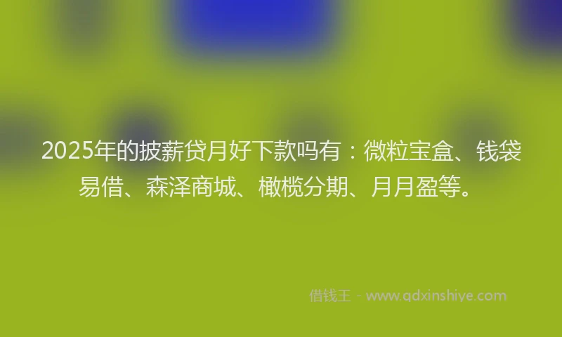 2025年的披薪贷月好下款吗有：微粒宝盒、钱袋易借、森泽商城、橄榄分期、月月盈等。