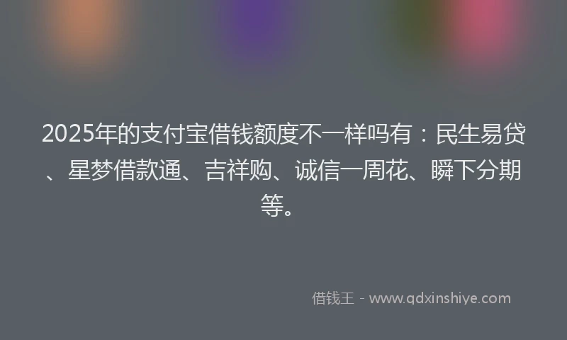 2025年的支付宝借钱额度不一样吗有：民生易贷、星梦借款通、吉祥购、诚信一周花、瞬下分期等。