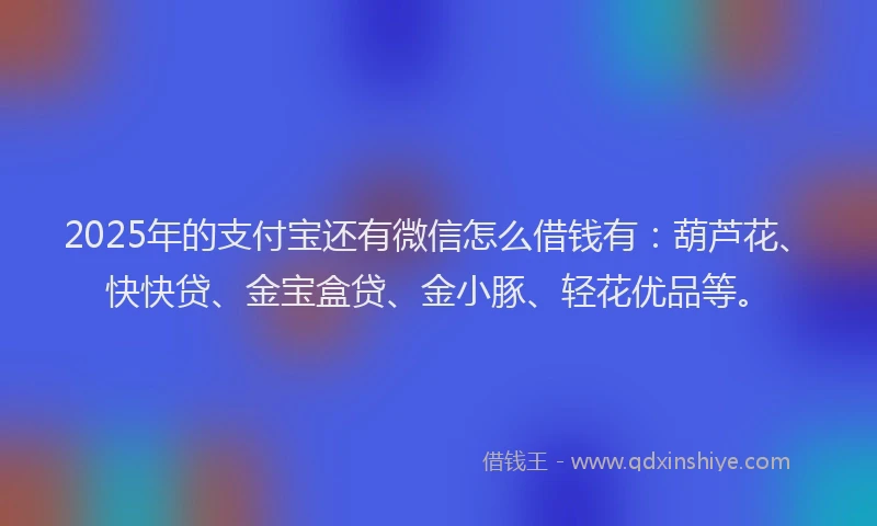 2025年的支付宝还有微信怎么借钱有：葫芦花、快快贷、金宝盒贷、金小豚、轻花优品等。