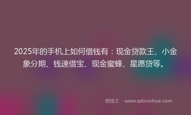 2025年的手机上如何借钱有：现金贷款王、小金象分期、钱速借宝、现金蜜蜂、星愿贷等。