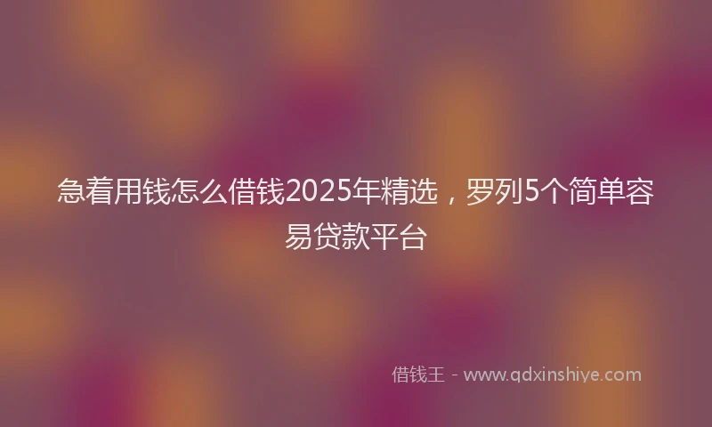 急着用钱怎么借钱2025年精选，罗列5个简单容易贷款平台