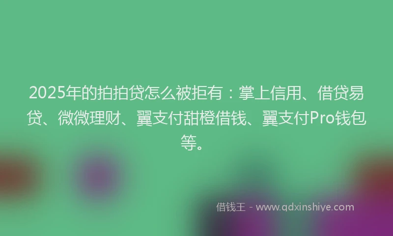 2025年的拍拍贷怎么被拒有：掌上信用、借贷易贷、微微理财、翼支付甜橙借钱、翼支付Pro钱包等。