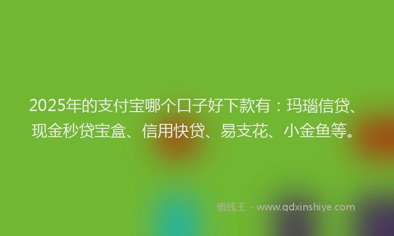 2025年的支付宝哪个口子好下款有：玛瑙信贷、现金秒贷宝盒、信用快贷、易支花、小金鱼等。