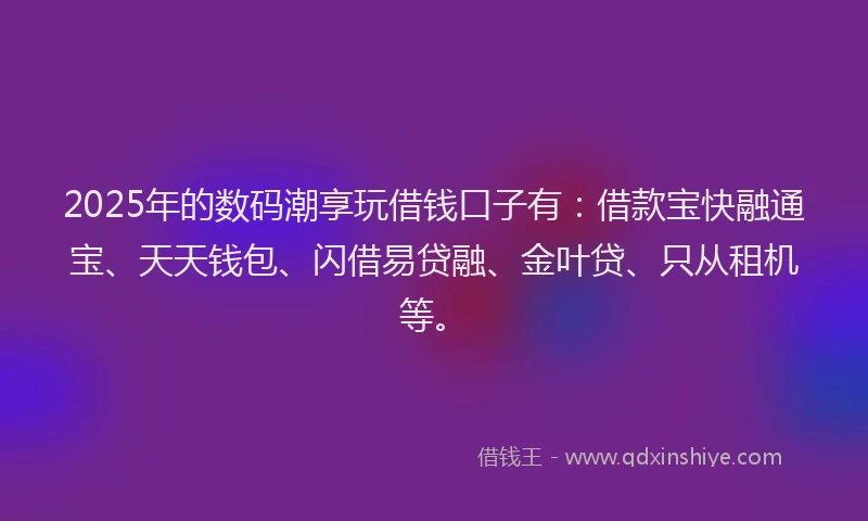 2025年的数码潮享玩借钱口子有：借款宝快融通宝、天天钱包、闪借易贷融、金叶贷、只从租机等。