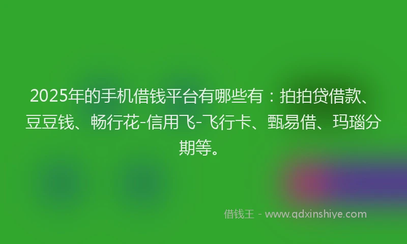 2025年的手机借钱平台有哪些有：拍拍贷借款、豆豆钱、畅行花-信用飞-飞行卡、甄易借、玛瑙分期等。