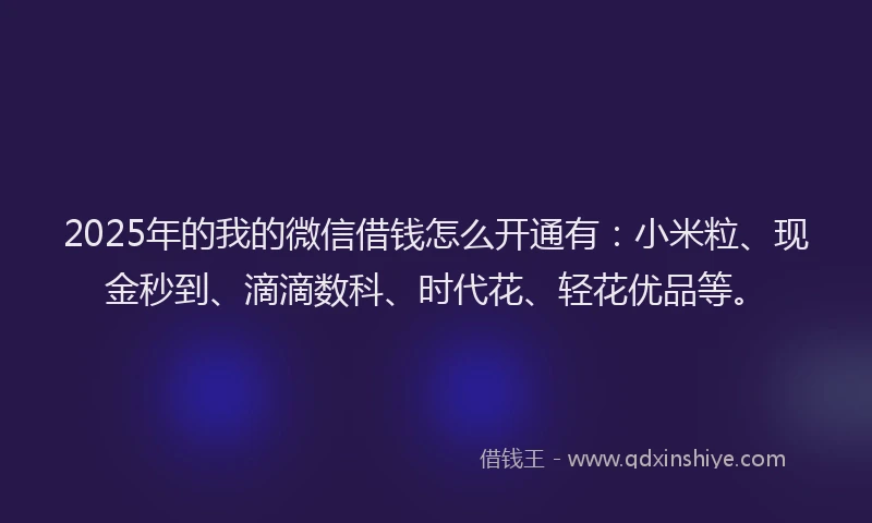 2025年的我的微信借钱怎么开通有：小米粒、现金秒到、滴滴数科、时代花、轻花优品等。