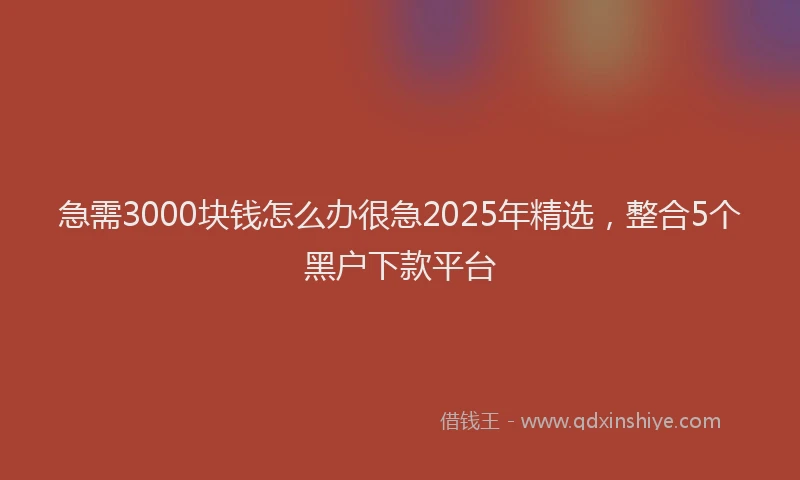 急需3000块钱怎么办很急2025年精选，整合5个黑户下款平台