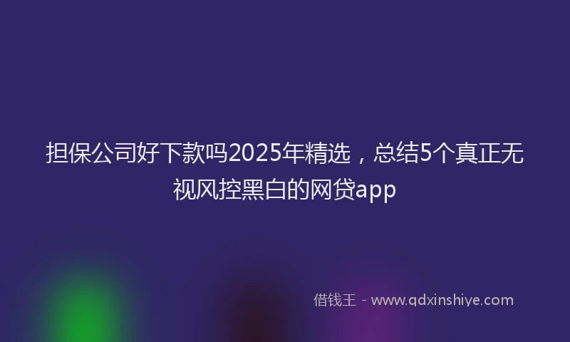 担保公司好下款吗2025年精选，总结5个真正无视风控黑白的网贷app
