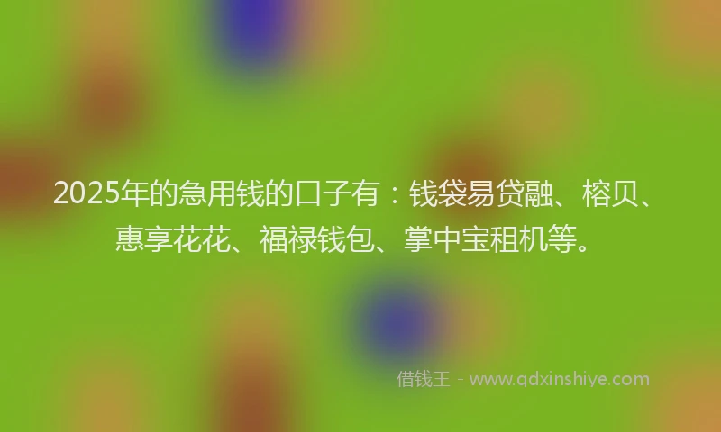 2025年的急用钱的口子有：钱袋易贷融、榕贝、惠享花花、福禄钱包、掌中宝租机等。
