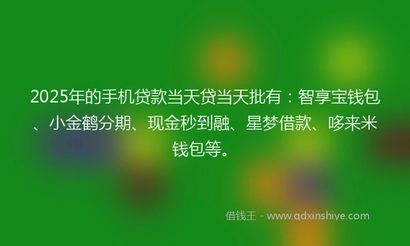 2025年的手机贷款当天贷当天批有：智享宝钱包、小金鹤分期、现金秒到融、星梦借款、哆来米钱包等。
