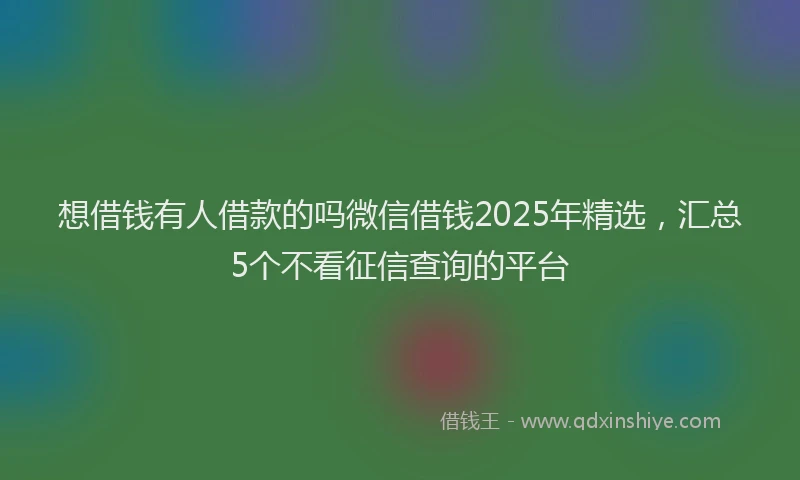 想借钱有人借款的吗微信借钱2025年精选，汇总5个不看征信查询的平台