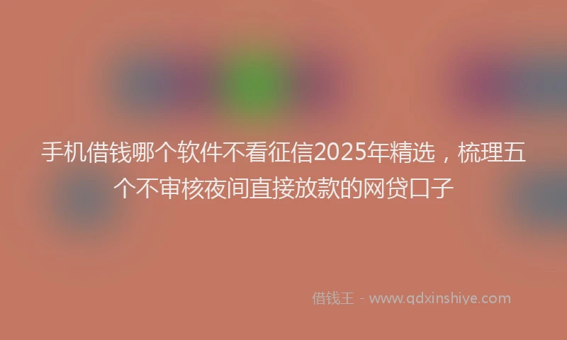 手机借钱哪个软件不看征信2025年精选，梳理五个不审核夜间直接放款的网贷口子