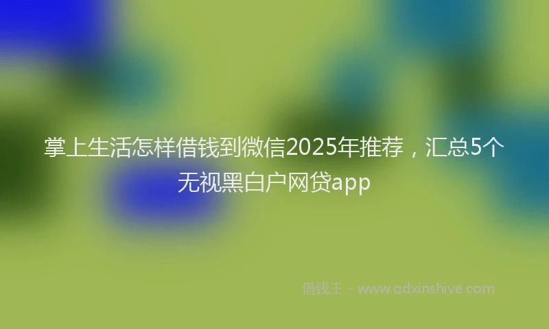 掌上生活怎样借钱到微信2025年推荐，汇总5个无视黑白户网贷app