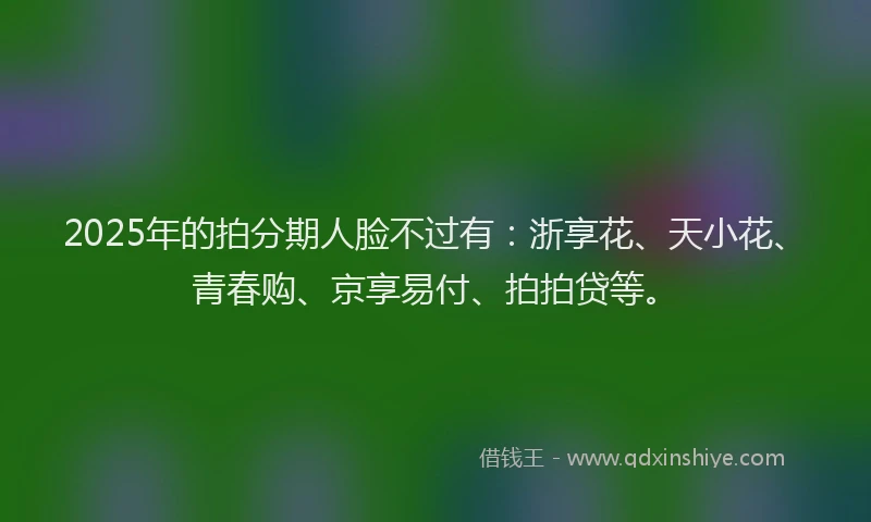 2025年的拍分期人脸不过有：浙享花、天小花、青春购、京享易付、拍拍贷等。