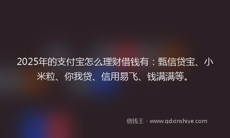 2025年的支付宝怎么理财借钱有：甄信贷宝、小米粒、你我贷、信用易飞、钱满满等。