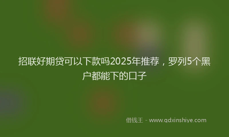 招联好期贷可以下款吗2025年推荐，罗列5个黑户都能下的口子