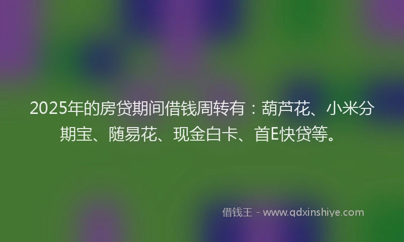 2025年的房贷期间借钱周转有：葫芦花、小米分期宝、随易花、现金白卡、首E快贷等。