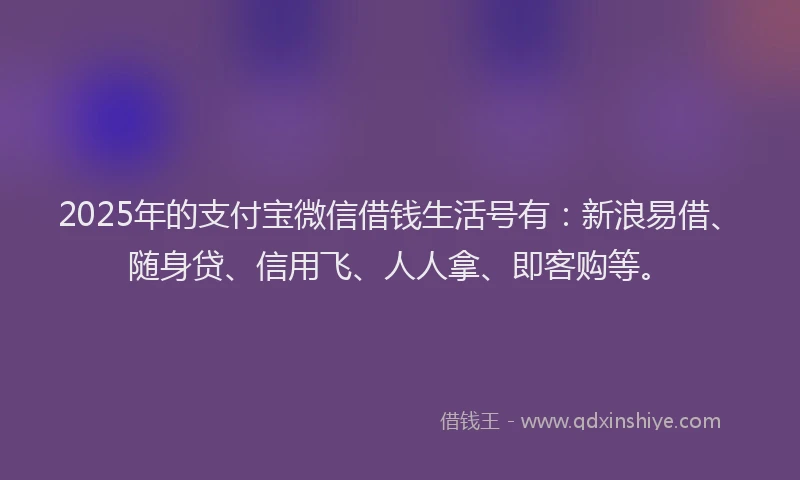 2025年的支付宝微信借钱生活号有：新浪易借、随身贷、信用飞、人人拿、即客购等。