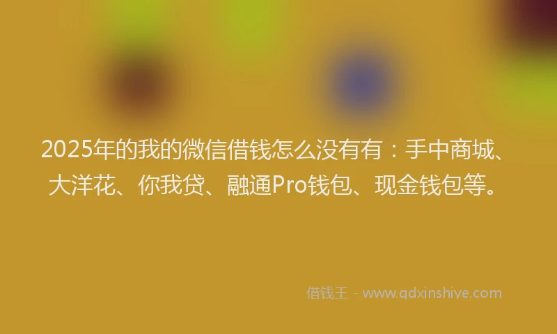 2025年的我的微信借钱怎么没有有：手中商城、大洋花、你我贷、融通Pro钱包、现金钱包等。