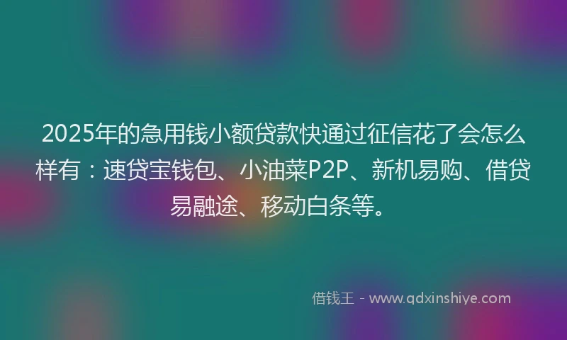 2025年的急用钱小额贷款快通过征信花了会怎么样有：速贷宝钱包、小油菜P2P、新机易购、借贷易融途、移动白条等。