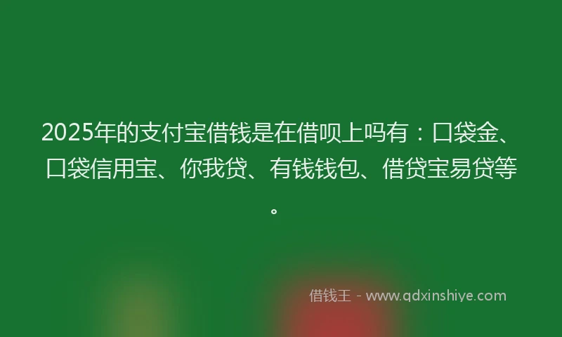 2025年的支付宝借钱是在借呗上吗有：口袋金、口袋信用宝、你我贷、有钱钱包、借贷宝易贷等。