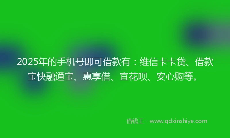 2025年的手机号即可借款有：维信卡卡贷、借款宝快融通宝、惠享借、宜花呗、安心购等。
