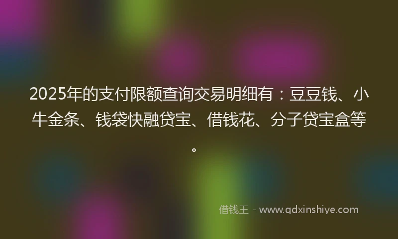 2025年的支付限额查询交易明细有：豆豆钱、小牛金条、钱袋快融贷宝、借钱花、分子贷宝盒等。