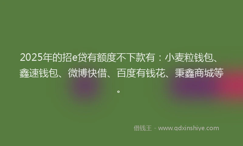 2025年的招e贷有额度不下款有：小麦粒钱包、鑫速钱包、微博快借、百度有钱花、秉鑫商城等。