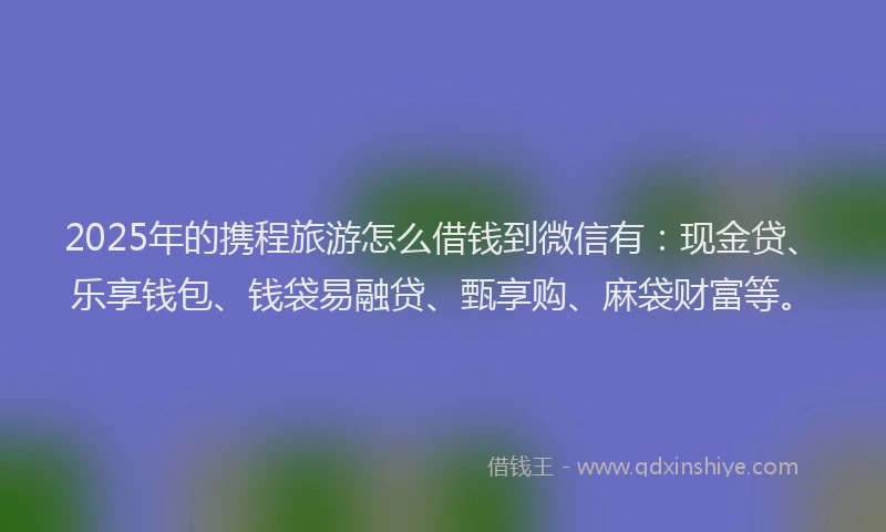 2025年的携程旅游怎么借钱到微信有：现金贷、乐享钱包、钱袋易融贷、甄享购、麻袋财富等。
