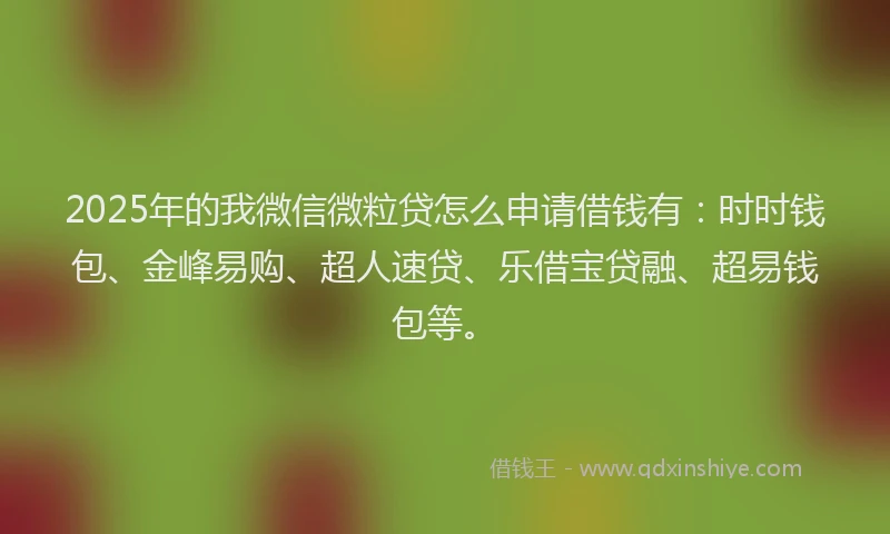 2025年的我微信微粒贷怎么申请借钱有：时时钱包、金峰易购、超人速贷、乐借宝贷融、超易钱包等。