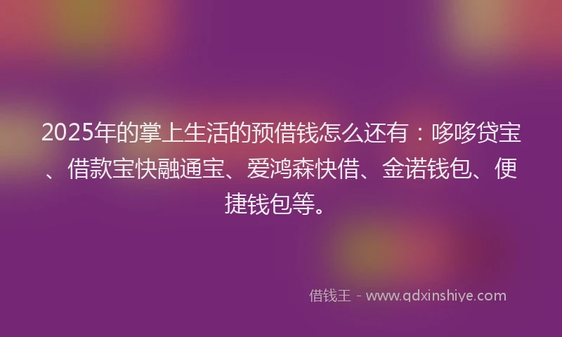 2025年的掌上生活的预借钱怎么还有：哆哆贷宝、借款宝快融通宝、爱鸿森快借、金诺钱包、便捷钱包等。