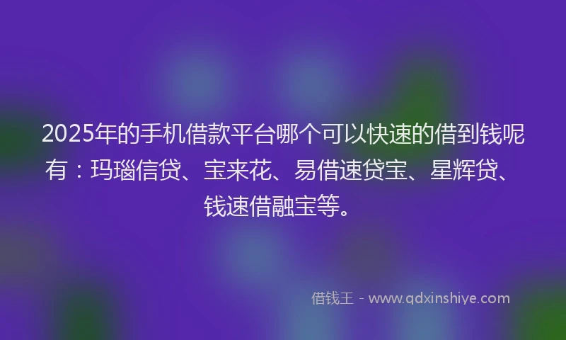 2025年的手机借款平台哪个可以快速的借到钱呢有：玛瑙信贷、宝来花、易借速贷宝、星辉贷、钱速借融宝等。