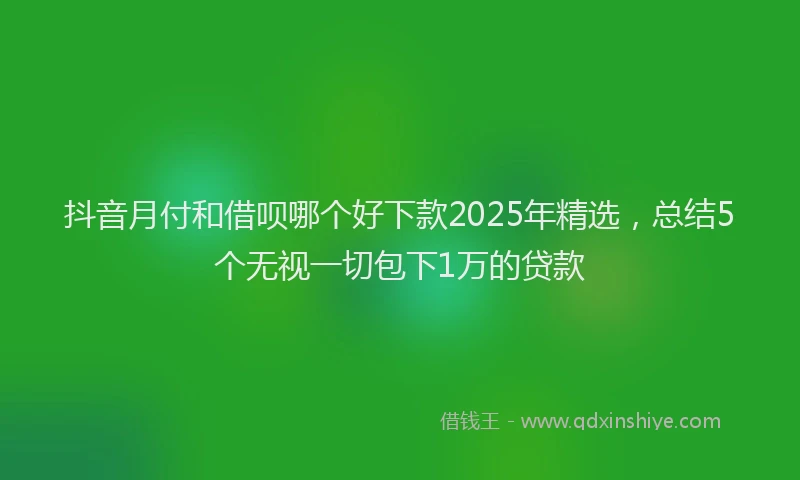 抖音月付和借呗哪个好下款2025年精选，总结5个无视一切包下1万的贷款