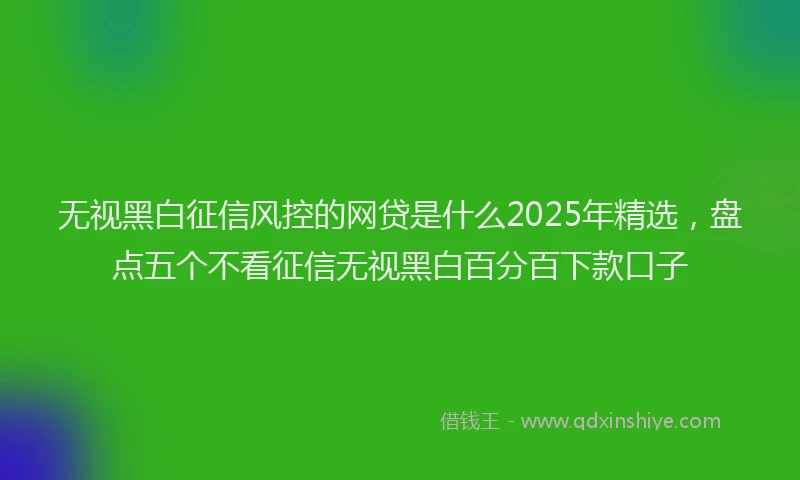 无视黑白征信风控的网贷是什么2025年精选，盘点五个不看征信无视黑白百分百下款口子