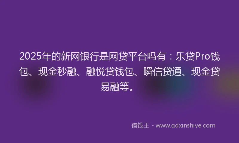 2025年的新网银行是网贷平台吗有：乐贷Pro钱包、现金秒融、融悦贷钱包、瞬信贷通、现金贷易融等。