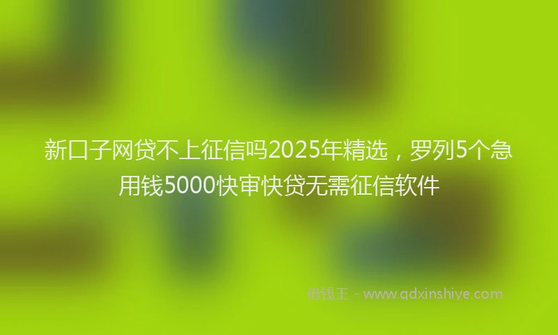 新口子网贷不上征信吗2025年精选，罗列5个急用钱5000快审快贷无需征信软件