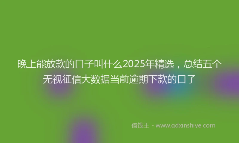 晚上能放款的口子叫什么2025年精选，总结五个无视征信大数据当前逾期下款的口子