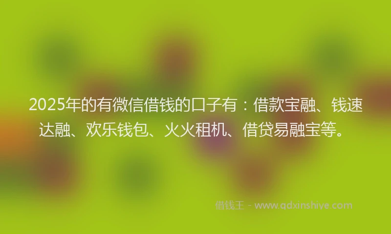 2025年的有微信借钱的口子有：借款宝融、钱速达融、欢乐钱包、火火租机、借贷易融宝等。