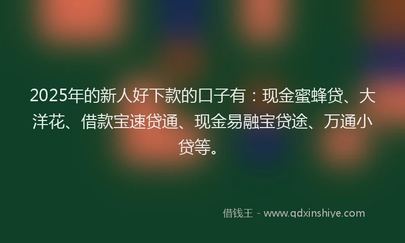 2025年的新人好下款的口子有：现金蜜蜂贷、大洋花、借款宝速贷通、现金易融宝贷途、万通小贷等。