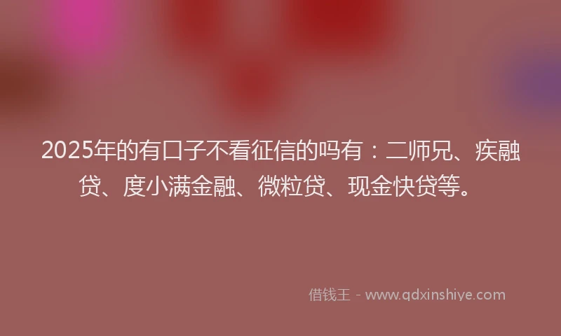 2025年的有口子不看征信的吗有：二师兄、疾融贷、度小满金融、微粒贷、现金快贷等。