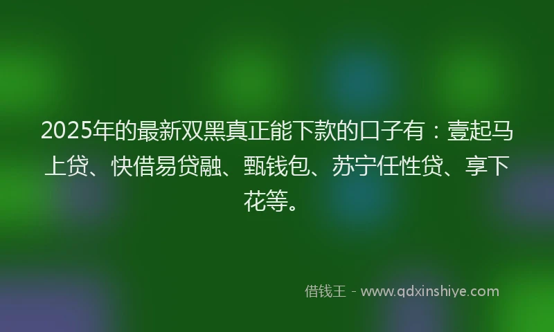 2025年的最新双黑真正能下款的口子有：壹起马上贷、快借易贷融、甄钱包、苏宁任性贷、享下花等。