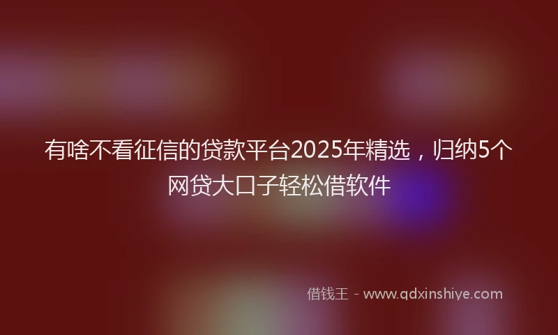 有啥不看征信的贷款平台2025年精选，归纳5个网贷大口子轻松借软件