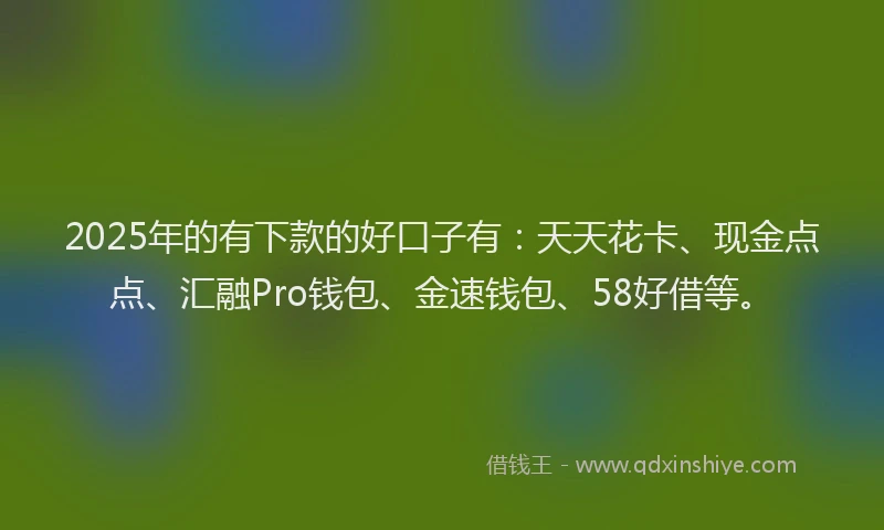 2025年的有下款的好口子有：天天花卡、现金点点、汇融Pro钱包、金速钱包、58好借等。