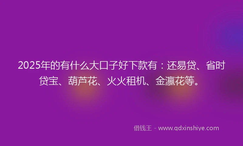 2025年的有什么大口子好下款有：还易贷、省时贷宝、葫芦花、火火租机、金瀛花等。