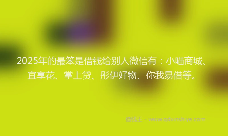 2025年的最笨是借钱给别人微信有：小喵商城、宜享花、掌上贷、彤伊好物、你我易借等。
