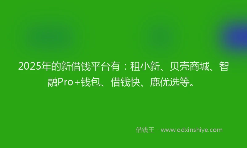 2025年的新借钱平台有：租小新、贝壳商城、智融Pro+钱包、借钱快、鹿优选等。