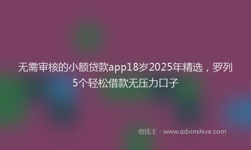 无需审核的小额贷款app18岁2025年精选，罗列5个轻松借款无压力口子