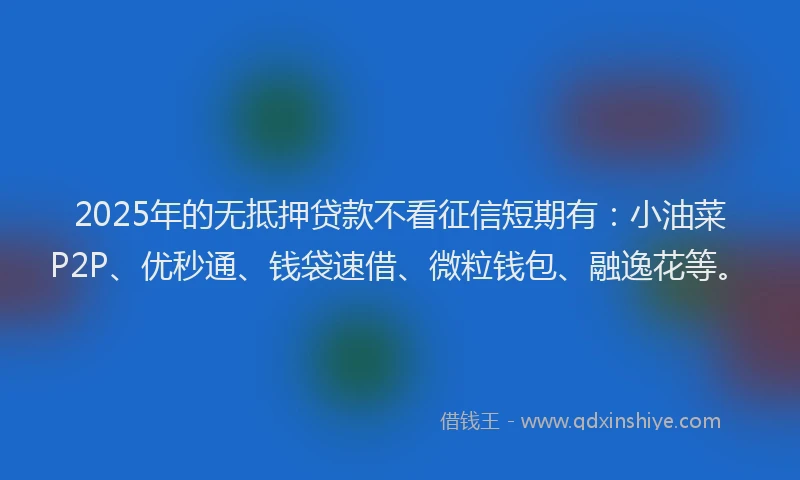 2025年的无抵押贷款不看征信短期有：小油菜P2P、优秒通、钱袋速借、微粒钱包、融逸花等。