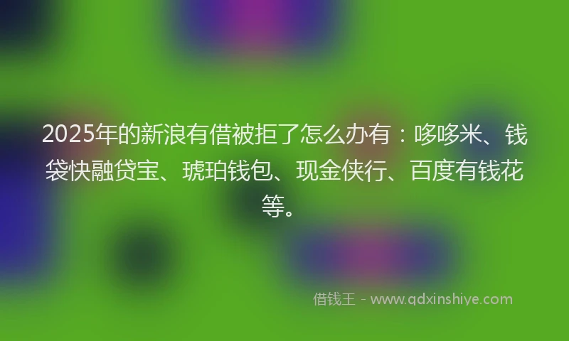 2025年的新浪有借被拒了怎么办有：哆哆米、钱袋快融贷宝、琥珀钱包、现金侠行、百度有钱花等。