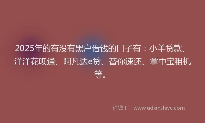 2025年的有没有黑户借钱的口子有：小羊贷款、洋洋花呗通、阿凡达e贷、替你速还、掌中宝租机等。